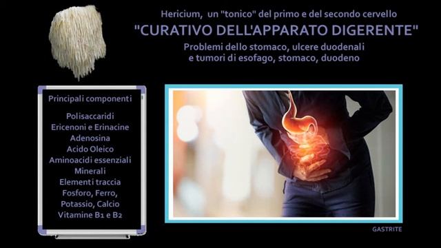 Hericium Erinaceus - il fungo che tutto può смотреть онлайн