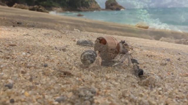 Banana Beach Phuket - Лучший дикий пляж Пхукета (Таиланд) смотреть онлайн