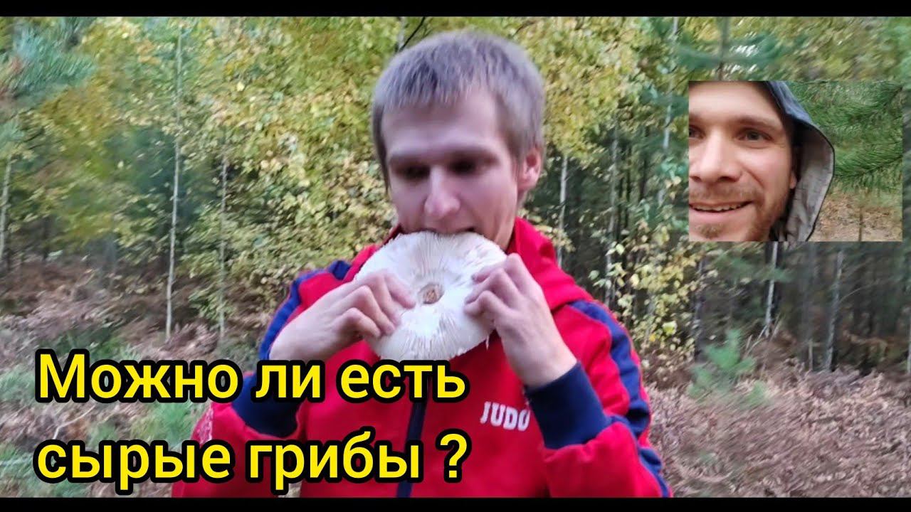 Можно ли есть грибы сырыми смотреть онлайн