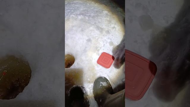 Рыбалка с треском провалена 🎣🎣🎣 #зима #север #работа #море #рыбалка смотреть онлайн