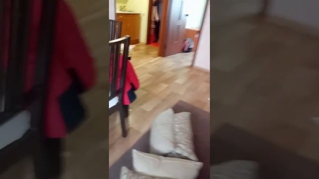 Отдохнули с подругами в лесном бору.Пишите сколько раз я сказала,,кайф"?мини влог. смотреть онлайн
