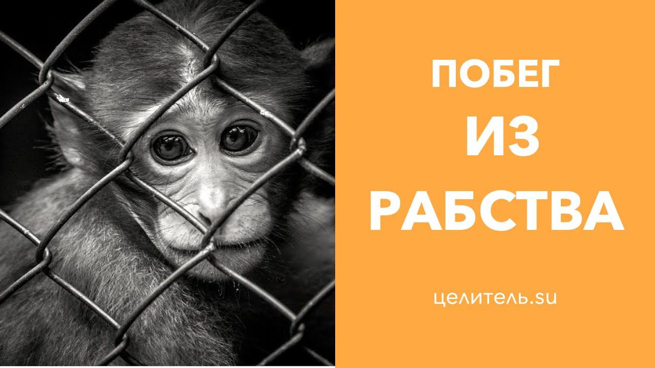 №91 Побег из рабства