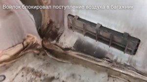 Найден простой способ избавиться от конденсата в багажнике авто