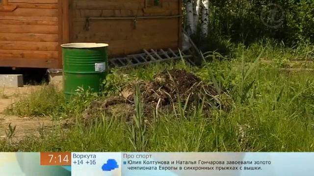 Как победить грызунов смотреть онлайн