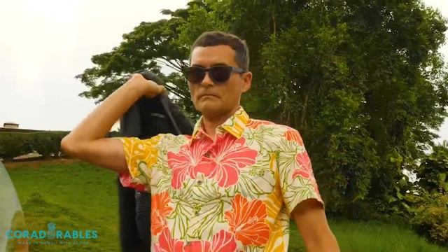 Introducing the Groovy Hibiscus Orange Collection! смотреть онлайн