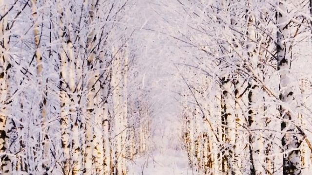 Снежный лес красотой белоснежной...???Музыка для души смотреть онлайн