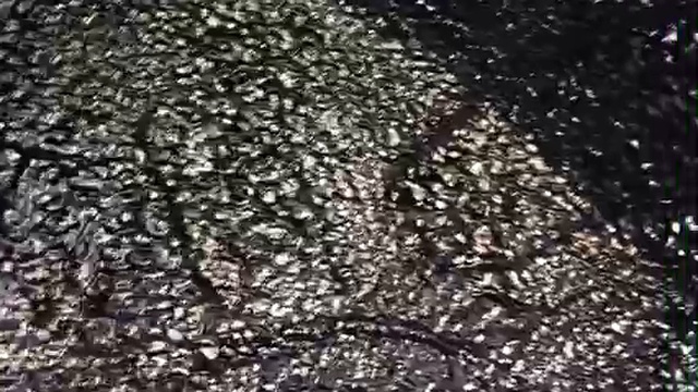 Хонда Цивик жидкие подкрылки (два в одном) - шумоизоляция и антикоррозионная обработка арок смотреть онлайн