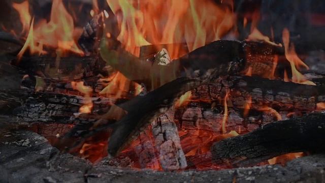 Релакс - костёр в вечернем лесу +тихая классика/Relax bonfire in the evening forest + quiet classic смотреть онлайн
