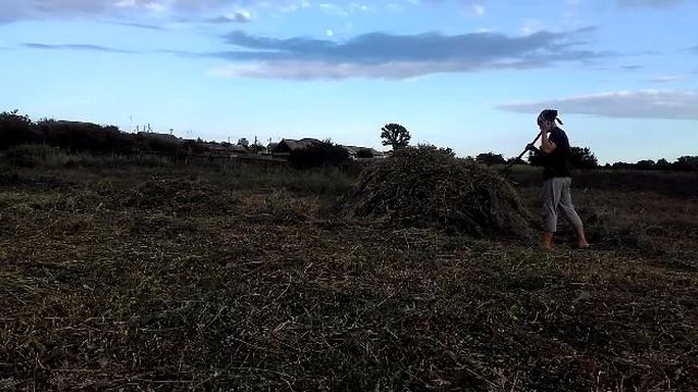 Сенокос 2019. смотреть онлайн