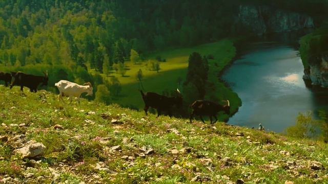 сплав по реке "Белая" Башкирия смотреть онлайн