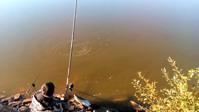 VID 20150822 075129 смотреть онлайн