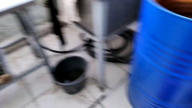 Экологический Уголок