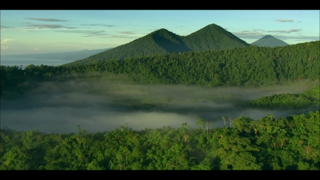 Знакомьтесь - Обезьяна! (Meet the Monkeys) смотреть онлайн