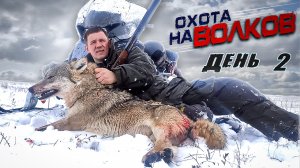 ОХОТА НА ВОЛКОВ!ВОЛЧИЦА УВЕЛА ЗА 50 КМ