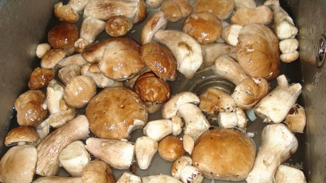 1000 и 1 рецепт