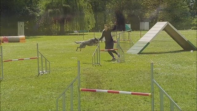 2019 05 12 concours Villers Saint Paul смотреть онлайн