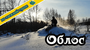 Жизнь в тайге. Один в лесу. Спасение облоса