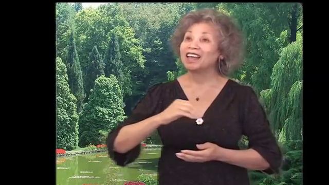 From The Rising of The Sun / Sign Language (From Marty Goetz) смотреть онлайн