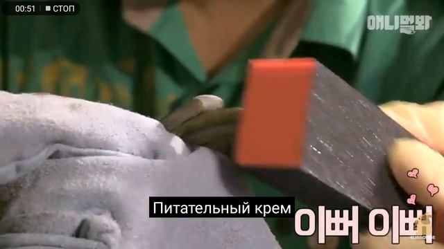 Лев (львица) зубы делаем коррекция смотреть онлайн