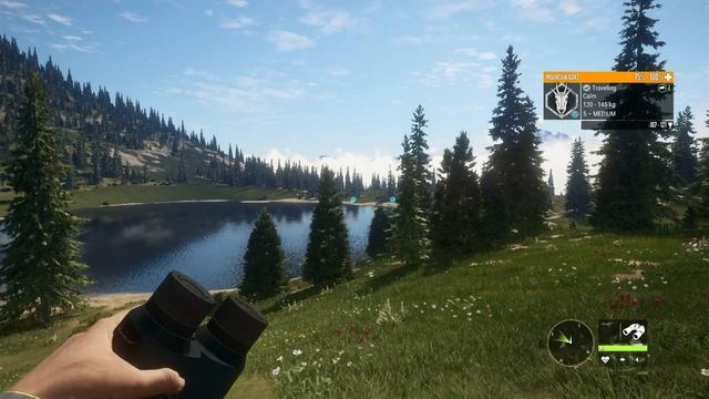 New Update Crash Hotfix Incoming ! - theHunter Call Of The Wild смотреть онлайн