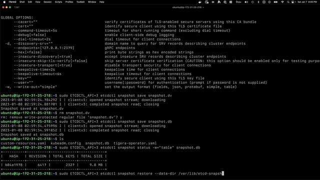 Backing up a K8s cluster using etcdctl | Part 2 #kubernetes смотреть онлайн