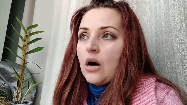 В чем грех первых людей Адама и Евы, толкование Библии. смотреть онлайн