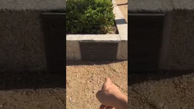 Эфир Сознания