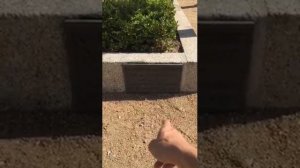 Где похоронен Луи де Фюнес