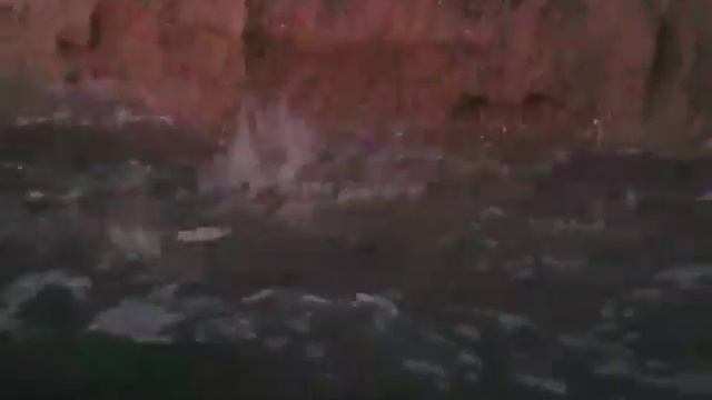 Выход рыбы из Молочного лимана в Азовское море. смотреть онлайн