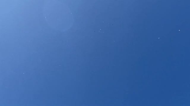 Вот они Бакинцы и кто бы что там не говорил.. Голубята 2023 смотреть онлайн