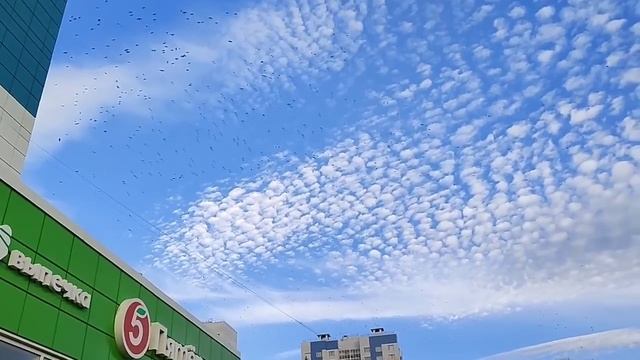 Влоги: Переезд из Казахстана в Россию/Повесили Шторы/Сделали Перестановку/ Снимаю и Дома тоже/ смотреть онлайн