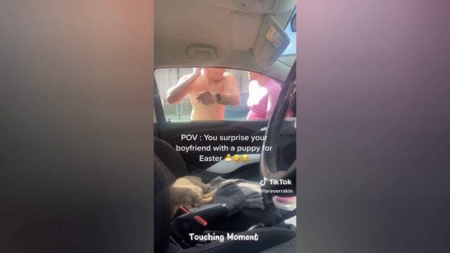 Best New Puppy Surprise Compilation | The Best Day