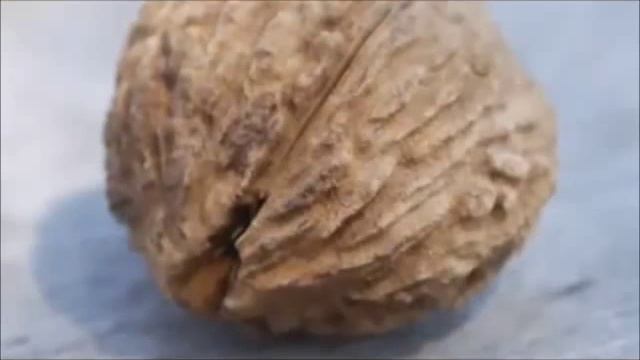 Чем полезные грецкие орехи?