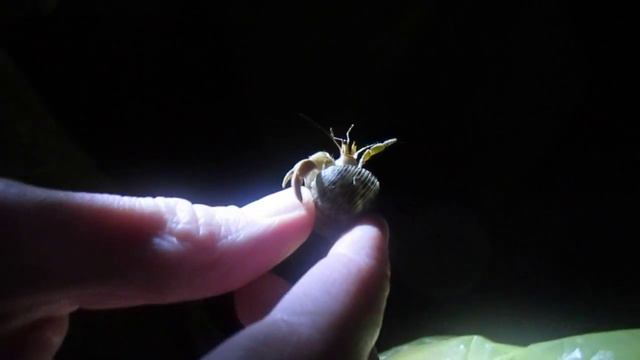 еще один рак около океана смотреть онлайн