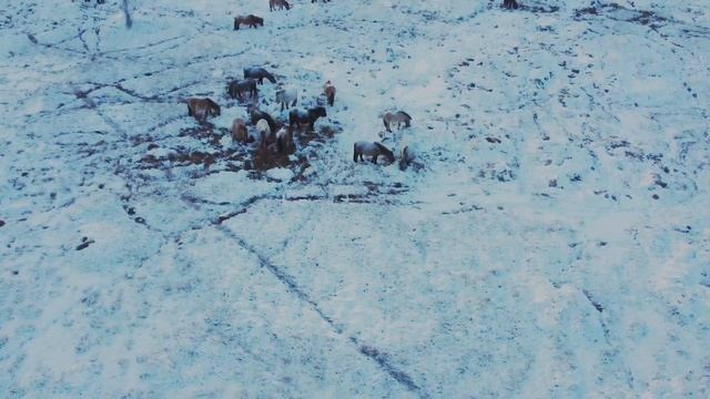 Зимний Оймякон/Oymyakon in the winter смотреть онлайн