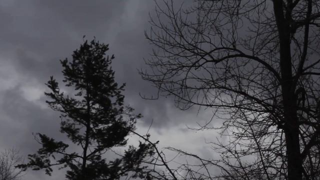 КОТ С ТОГО СВЕТА  //  МИСТИЧЕСКАЯ ИСТОРИЯ НА НОЧЬ //  СТРАШНАЯ СКАЗКА  //  ПОДКАСТ