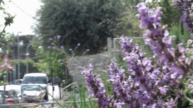 Fuji FinePix JX200 HD Test