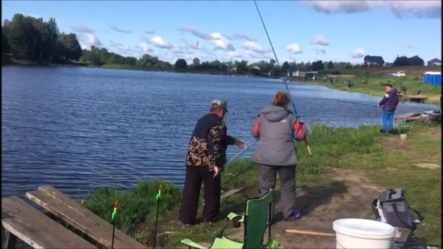 На улице прохладно, а на пруду жара! Поимки карпа, Клёвое место, д.Савельево смотреть онлайн