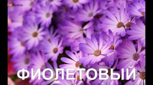 Учим цвета и краски.  Обучающее видео для детей 1-2 лет «Первые слова». Радуга цвета.