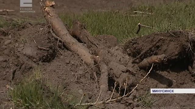 Абаканскую преображают (Енисей Минусинск) смотреть онлайн