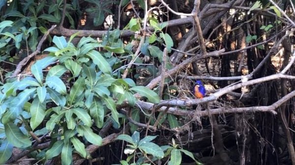 Kakadu National Park, Beautiful Nature and Fires, Australia