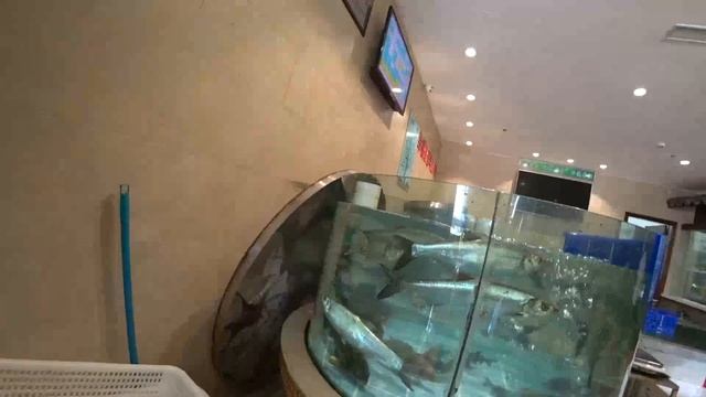 # 7 / Озеро Тайху (太湖) / провинция Чжэцзян (浙江) / г. Хучжоу (湖州) смотреть онлайн