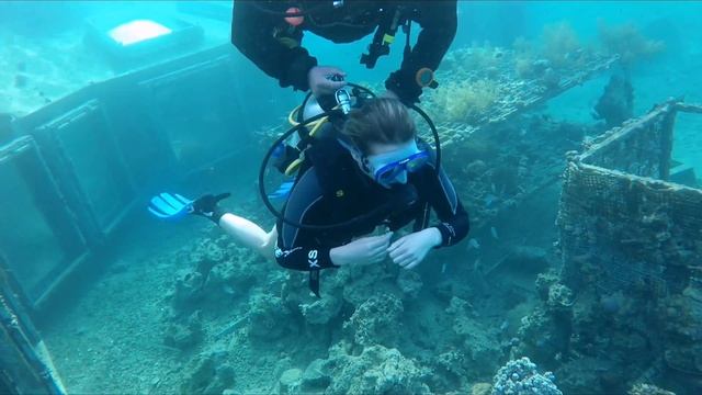 Мертвое море и дайвинг в Эйлате! смотреть онлайн