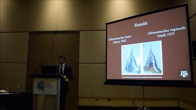 Odontomachus Presentation at International Congress of Entomology 2016 смотреть онлайн