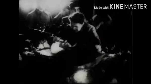 Нельсон Степанян