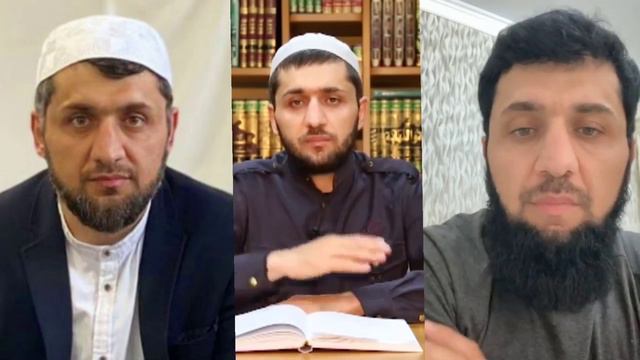 Как зурпуканов шамиль противоречит сам себе. смотреть онлайн
