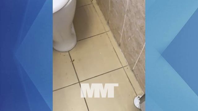 Тараканы в школе 24 смотреть онлайн