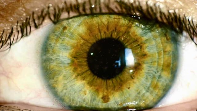 ?GET GREEN EYES IN 10 MINUTES! AUDIO AFFIRMATIONS BOOSTER! RESULTS NOW! CHANGE YOUR EYE COLOR! смотреть онлайн
