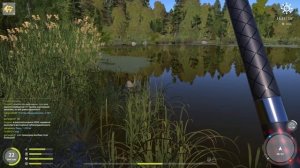 Русская рыбалка 4 - озеро Старый Острог - Линь на маховую удочку