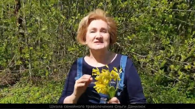 Первоцвет – первый дар весны! смотреть онлайн